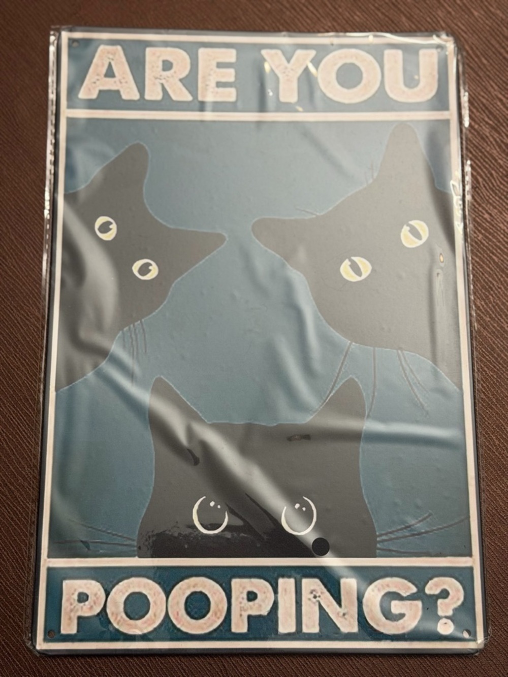 Are You Pooping? Blue Black Cat Wall Sign